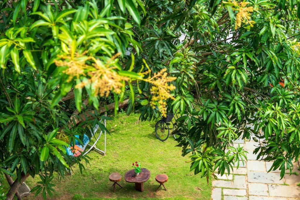 Flora Villa Hoi An Zewnętrze zdjęcie